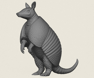 Armadillo Standing