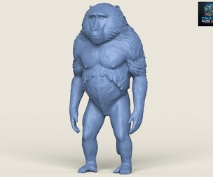 Baboon Monkey Standing