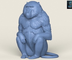 Baboon Monkey Sitting
