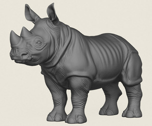 Rhinoceros Calf