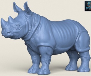 Rhinoceros Calf