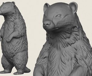Badger Standing
