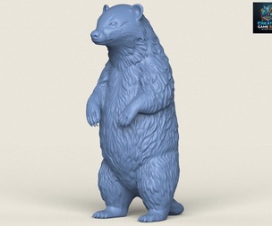 Badger Standing