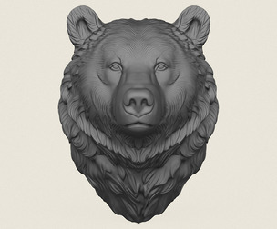 Wild Bear Head