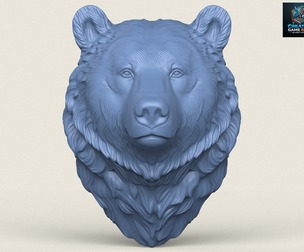 Wild Bear Head