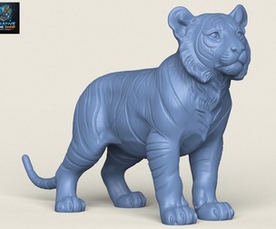Tiger Cub