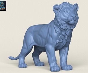 Lion Cub