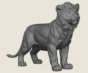 Lion Cub