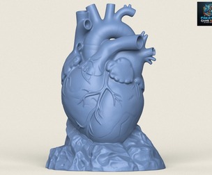 Human Heart Sculpture