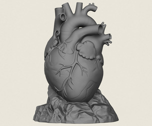 Human Heart Sculpture