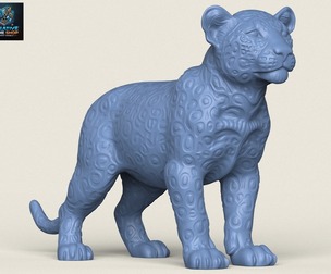 Wild Leopard