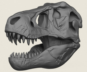 Tyrannosaurus Dinosaur Skull