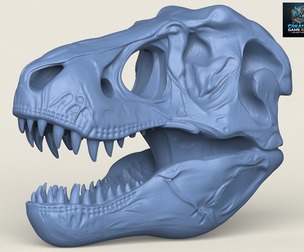Tyrannosaurus Dinosaur Skull
