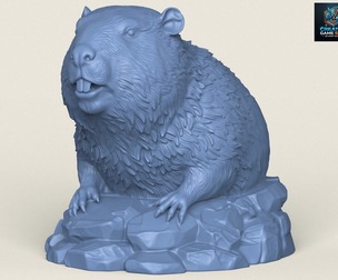 Wild Beaver Bust