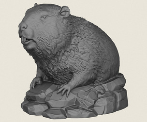 Wild Beaver Bust