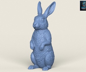 Rabbit Standing