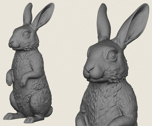 Rabbit Standing