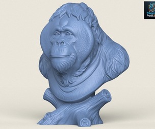 Orangutan Monkey Bust