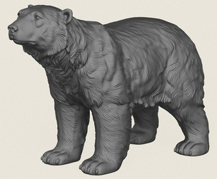 Polar Bear