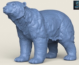 Polar Bear