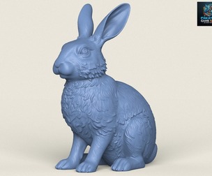 Rabbit