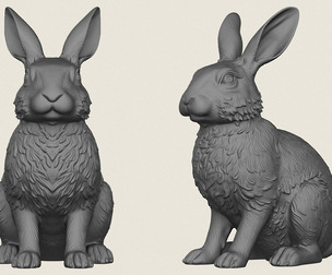 Rabbit