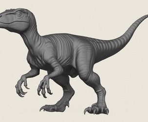 Velociraptor Dinosaur