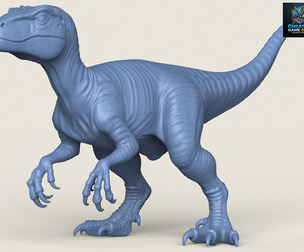 Velociraptor Dinosaur
