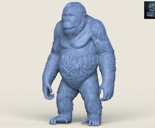 Orangutan Monkey