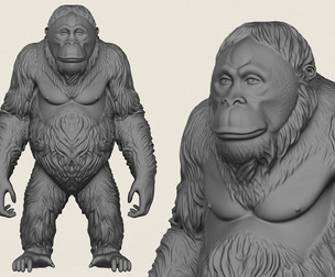 Orangutan Monkey