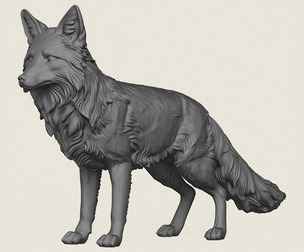 Wild Fox