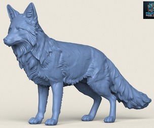 Wild Fox