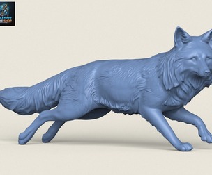 Wild Fox Running