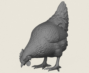 Chicken Eating