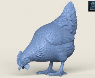 Chicken Eating