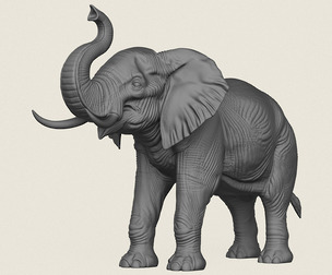 Asian Elephant Salute