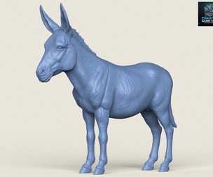 Donkey