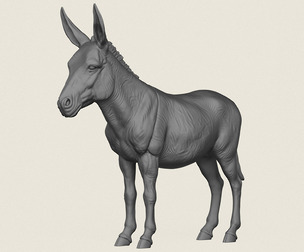 Donkey