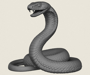 Black Mamba Snake