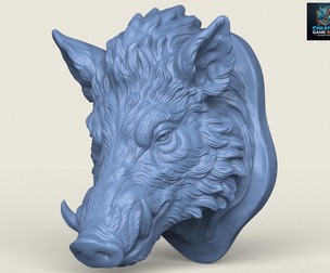 Wild Boar Head