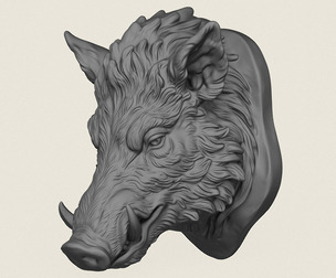 Wild Boar Head