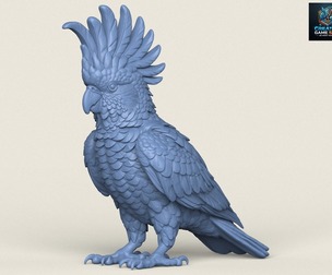 Cockatoo Parrot Bird