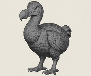 Dodo Bird