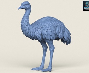 Emu Bird