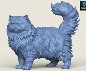 Cute Persian Cat