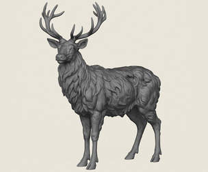 Himalayan Elk Deer