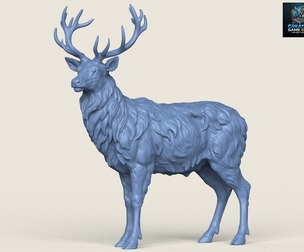 Himalayan Elk Deer