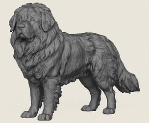 Himalayan Dog