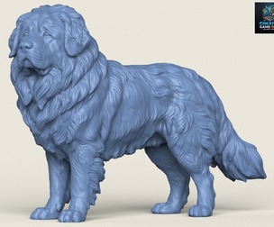 Himalayan Dog