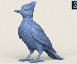 Woodpecker Bird
